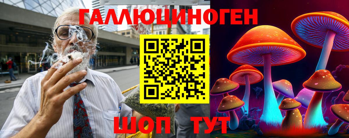 купить  цена  Псилоцибиновые грибы Cubensis  Вход с VPN  Мончегорск 