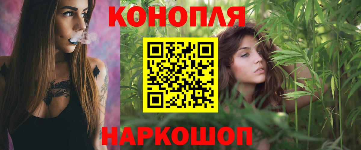 Конопля план Мончегорск